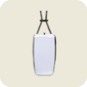 Ionizer